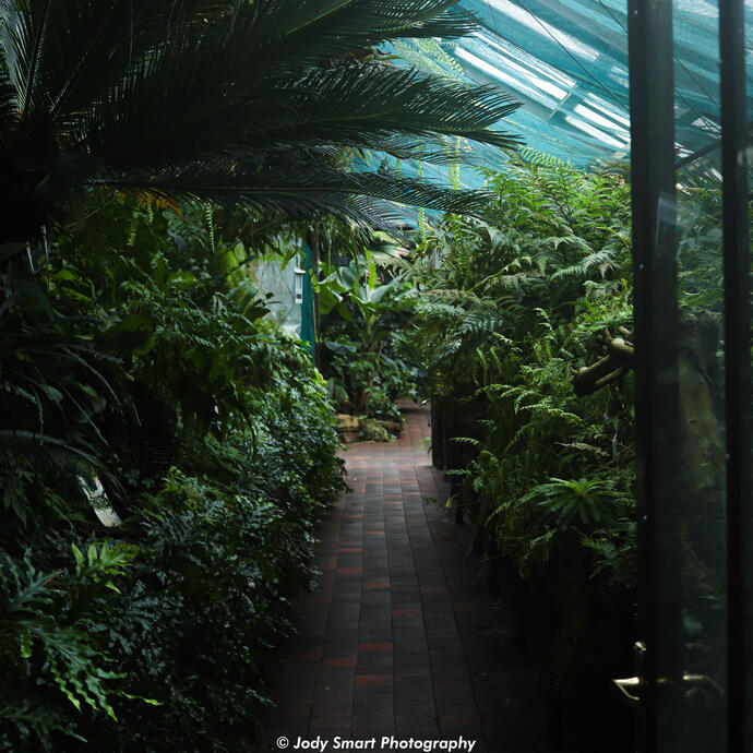 Nature - Glasgow Botanic Gardens